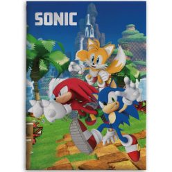 Sonic a sündisznó Speedy Dreams polár takaró