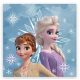Disney Jégvarázs Snowflake kéztörlő, arctörlő, törölköző 