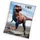 Dinoszaurusz T-Rex coral fleece polár takaró 