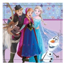   Disney Jégvarázs Friends Forever kéztörlő, arctörlő, törölköző