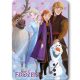 Disney Jégvarázs Winter Friends polár takaró 