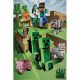 Minecraft Cave Attack polár takaró