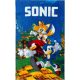 Sonic a sündisznó Speedy kéztörlő, arctörlő, törölköző 
