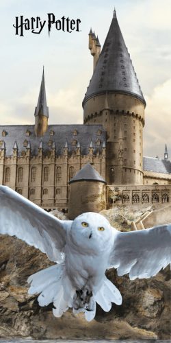 Harry Potter Hedwig Fly fürdőlepedő, strand törölköző 