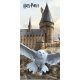 Harry Potter Hedwig Fly fürdőlepedő, strand törölköző 