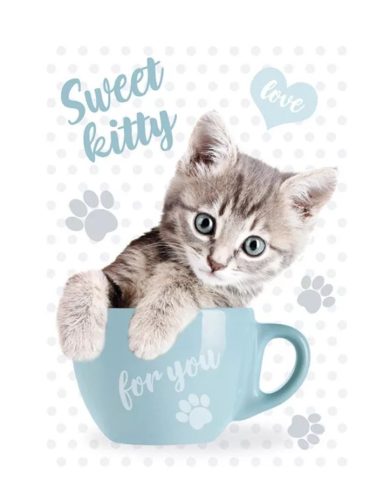 Cicás Sweet Kitty A/4 gumis mappa 