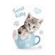 Cicás Sweet Kitty A/4 gumis mappa 